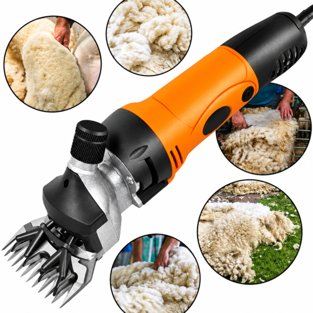 Tondeuse mouton BEETRO 500w  BE0068