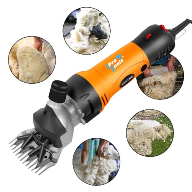 Tondeuse mouton BEETRO 500w  BE0068