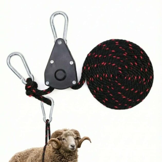 Sangle à cliquet de grue à corde réglable de 3/8 pouces 68 kg