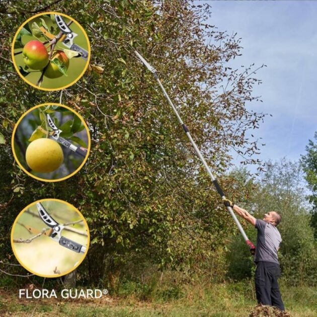 Sécateur a manche long extensible avec scie 3m