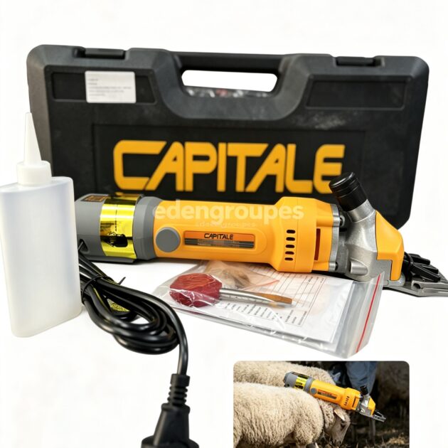 TONDEUSE MOUTON CAPITAL 850W SC108501